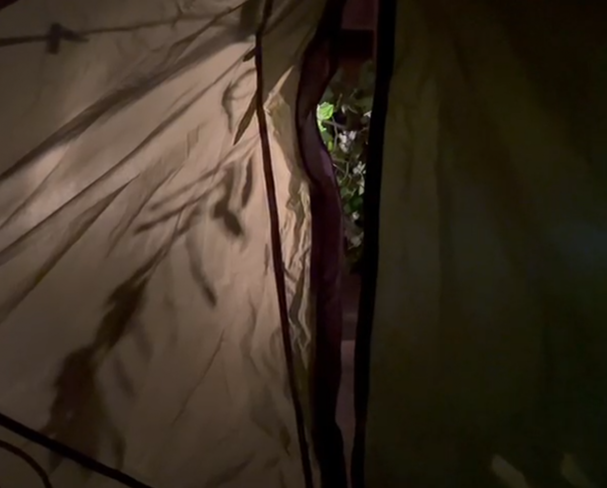 Nuit d'&eacute;t&eacute;